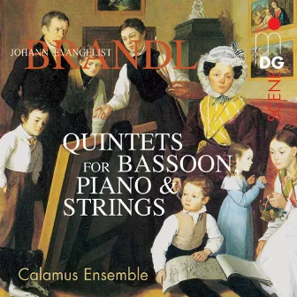 Brandl: Quintets for Bassoon, Piano and Strings, Vol. 2 by Johann Evangelist Brandl