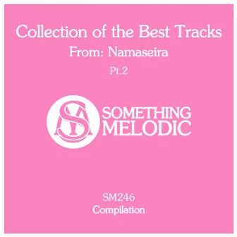 Collection of the Best Tracks From: Namaseira, Pt. 2 by Namaseira