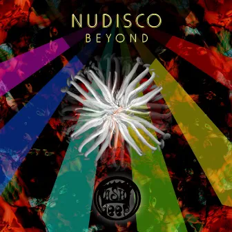 Beyond by Nudisco