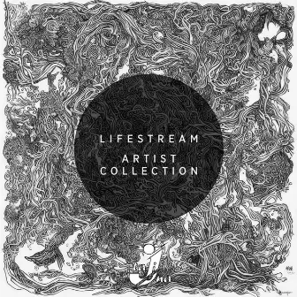 Artist Collection by Lifestream