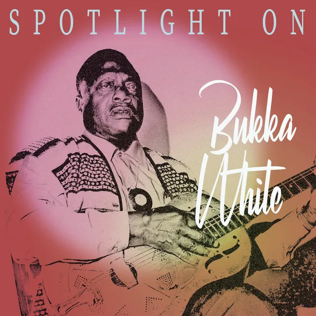 Spotlight on Bukka White