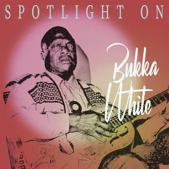 Spotlight on Bukka White by Bukka White