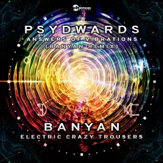 Answers of Vibrations by Banyan