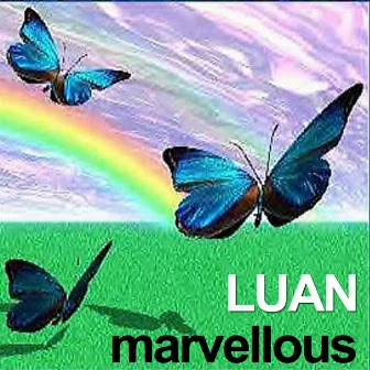 Marvellous by Luan