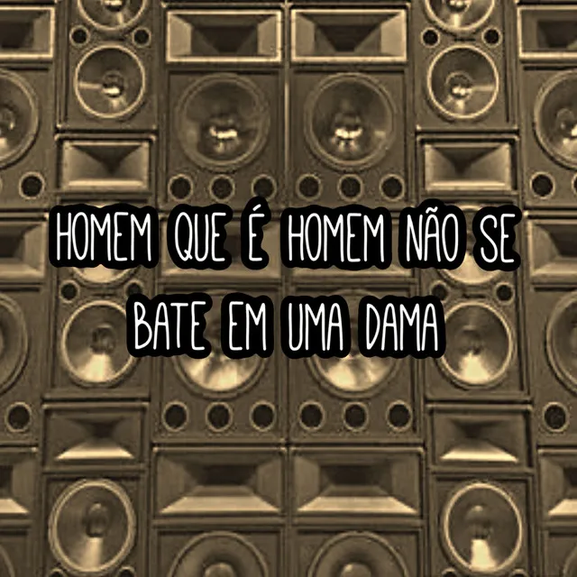 Homem Que É Homem Não Se Bate em uma Dama (feat. DJ 2N)