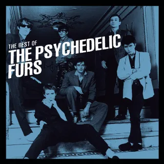 The Best Of by The Psychedelic Furs