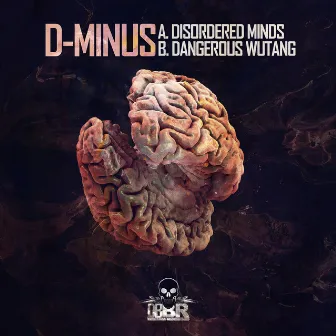 Disordered Minds/ Dangerous Wutang by D-MINUS