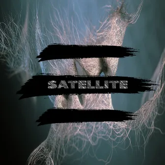 Satellite by Ana Roze