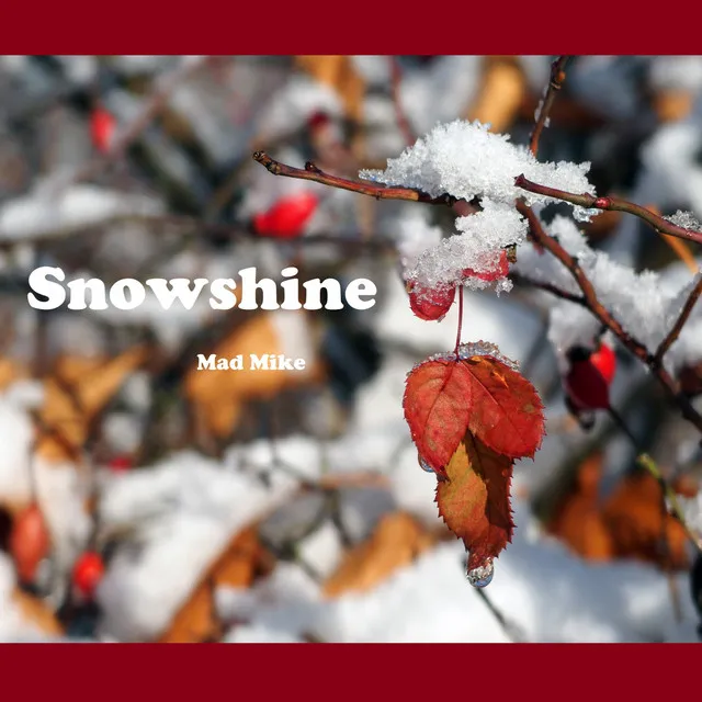 Snowshine