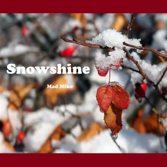 Snowshine by Mad Mike