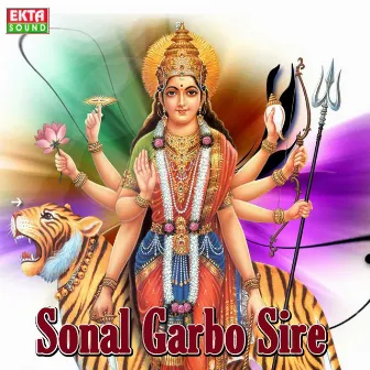 Sonal Garbo Sire by Hari Bharwad