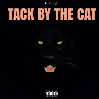 Tack by the Cat by 4L Gang