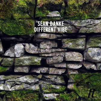 Different Vibe by Sean Danke