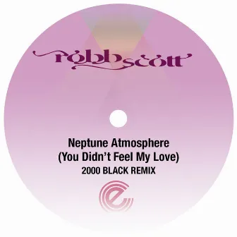 Neptune Atmosphere (You Didn't Feel My Love) by Robb Scott