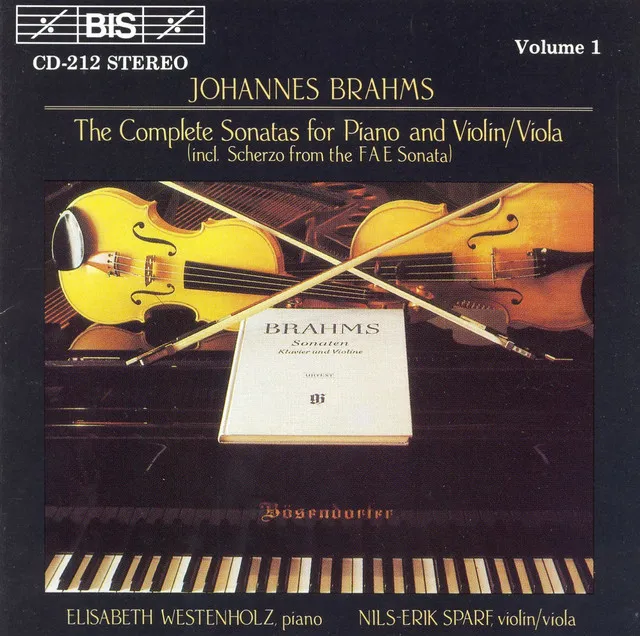 Violin Sonata No. 1 in G Major, Op. 78 "Regen": I. Vivace ma non troppo