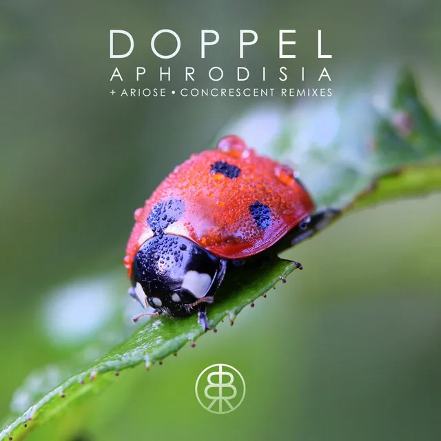 Aphrodisia - Concrescent Remix