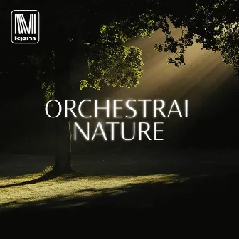 Orchestral Nature by Sascha Blank