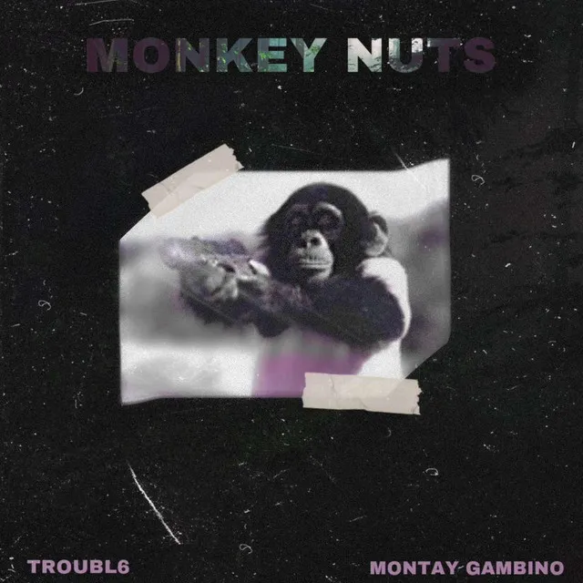 Monkey Nuts