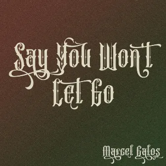 Say You Won't Let Go by Marcel Galos