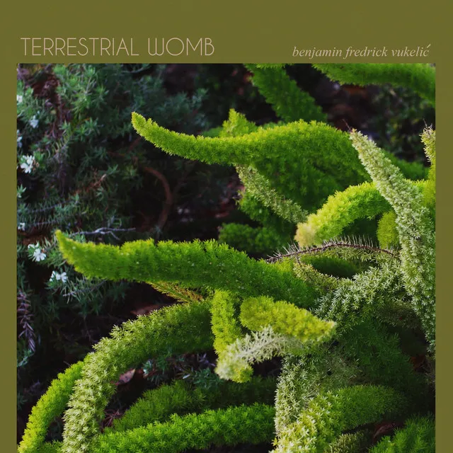 Terrestrial Womb