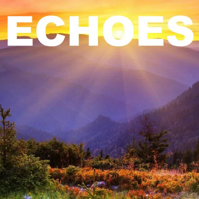 Echoes