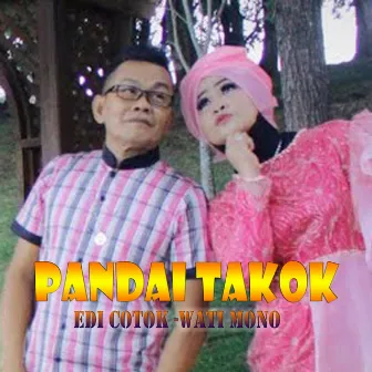 Pandai Takok (Remix) by Wati mono