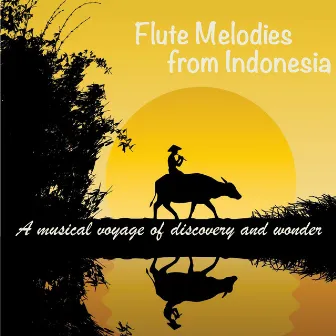 Flute Melodies from Indonesia by Andy Findon