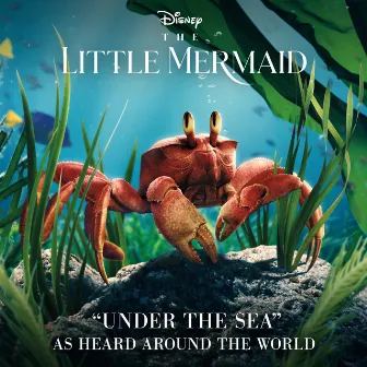 Under the Sea (From “The Little Mermaid”) by Cast - The Little Mermaid