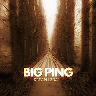 Big Ping by Dream Goa