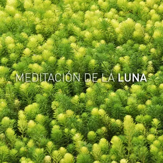 Zen Sleep by Meditación De La Luna