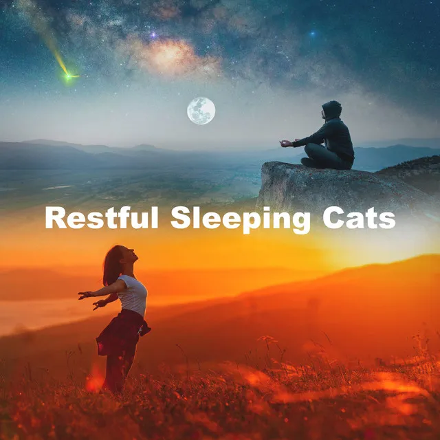 Restful Sleeping Cats