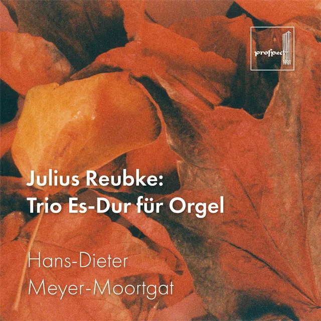 Reubke: Trio Es-Dur für Orgel