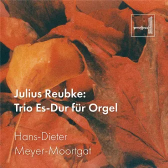 Reubke: Trio Es-Dur für Orgel by Hans-Dieter Meyer-Moortgat