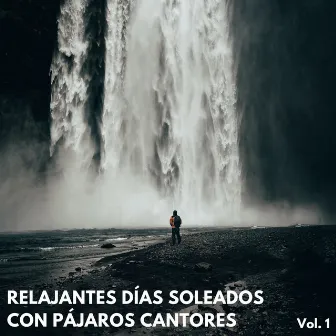 Relajantes Días Soleados Con Pájaros Cantores Vol. 1 by Naturaleza y sonidos de pájaros