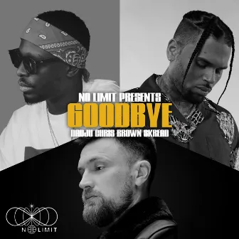 Goodbye (with Dadju, Chris Brown & Skread) by No Limit