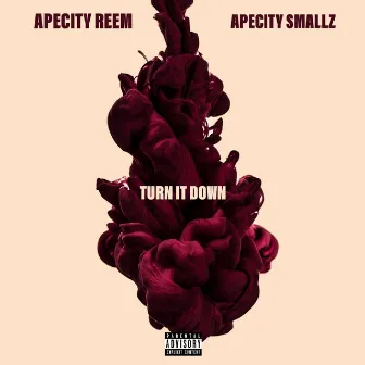 Turn It Down by Apecity Reem