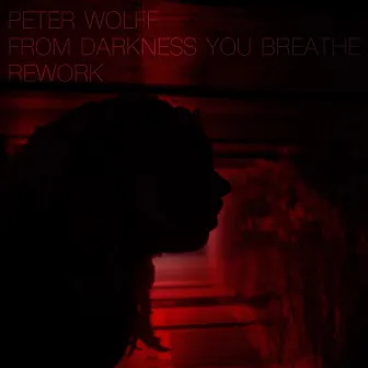 From Darkness You Breathe (Rework) by Peter Wolff