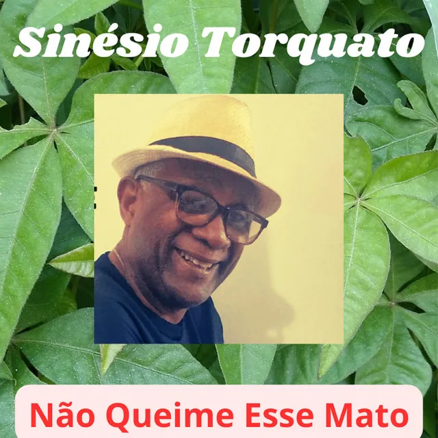 Não Queime Esse Mato