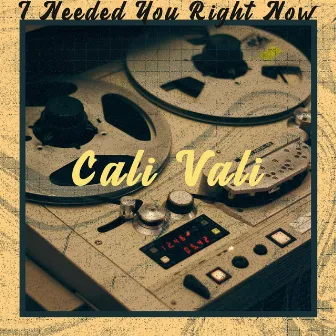 I Needed You Right Now by Cali Vali