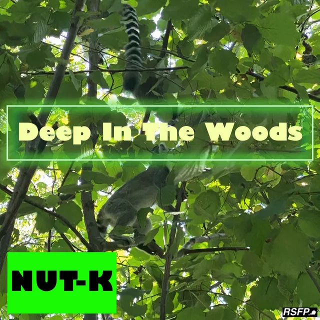 Deep In The Woods