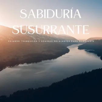 Sabiduría Susurrante: Pájaros Tranquilos Y Sonidos Relajantes Para El Estudio by Sonidos de pájaros de la naturaleza