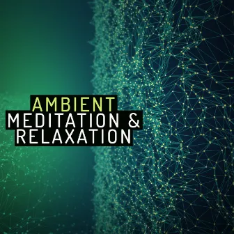 Ambient Meditation & Relaxation by Unknown Artist