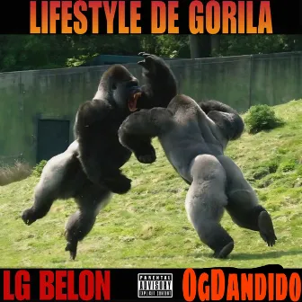 Lifestyle De Gorila by Ogdandido