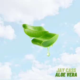 Aloe Vera by Jay Cass