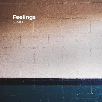 Feelings by 