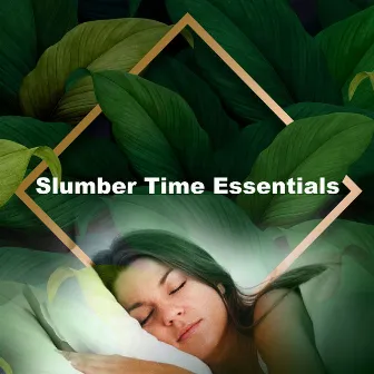 Slumber Time Essentials by Sleepy Moon