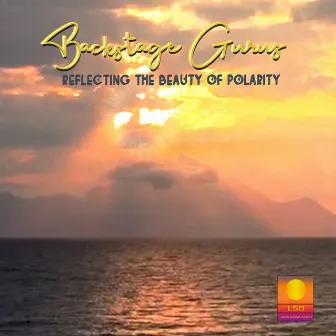 Reflecting The Beauty of Polarity by Backstage Gurus