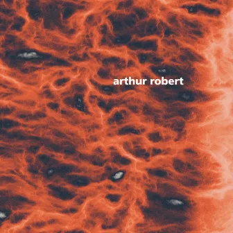 Metamorphosis Pt. 2 by Arthur Robert