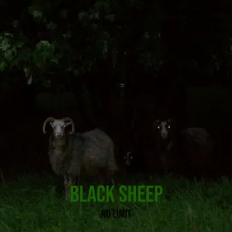 Black Sheep by Unknown Artist