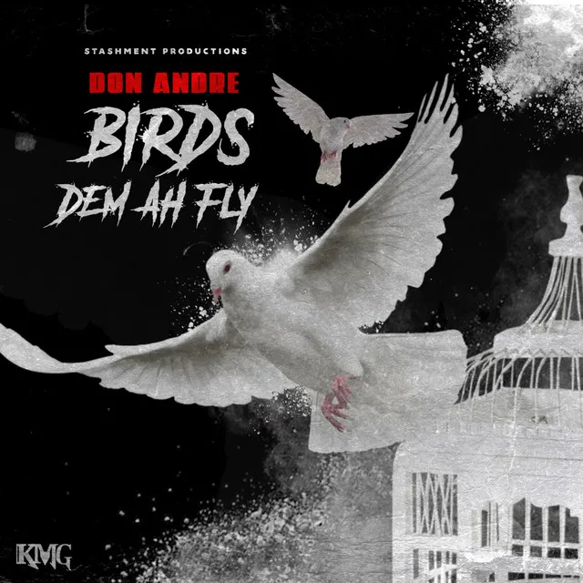 Birds Dem Ah Fly